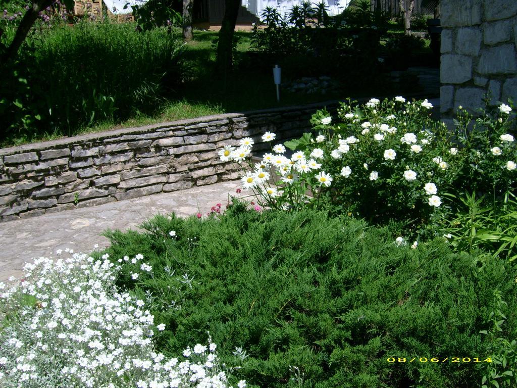 Vila Vuk Plitvička Jezera Buitenkant foto